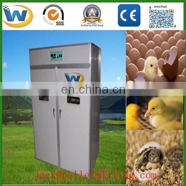 High quality automatic egg incubator in uae