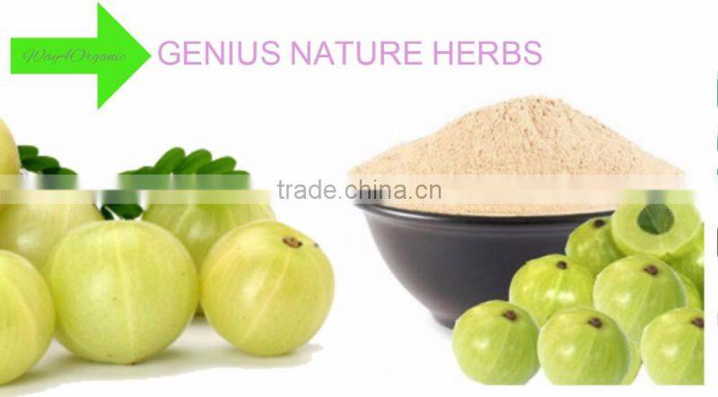 Good Quality Amla Powder Supplier