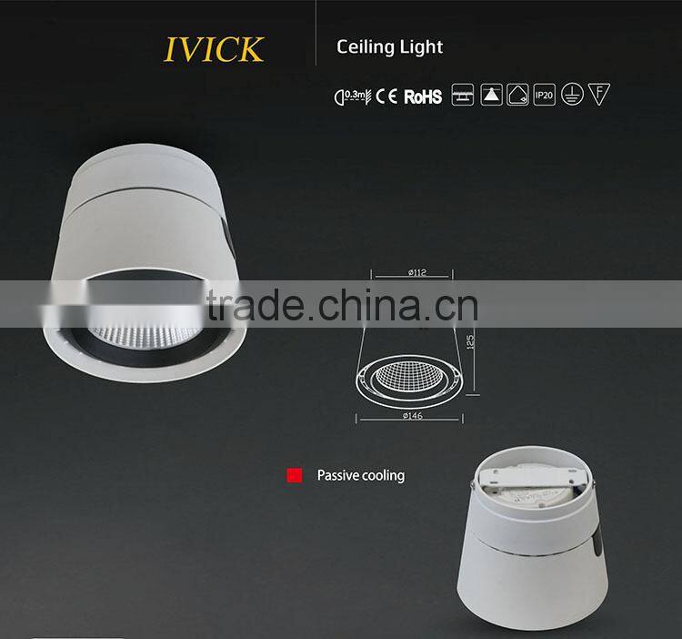40W Aluminium LED /Recessed Down Light /led lighting bulb