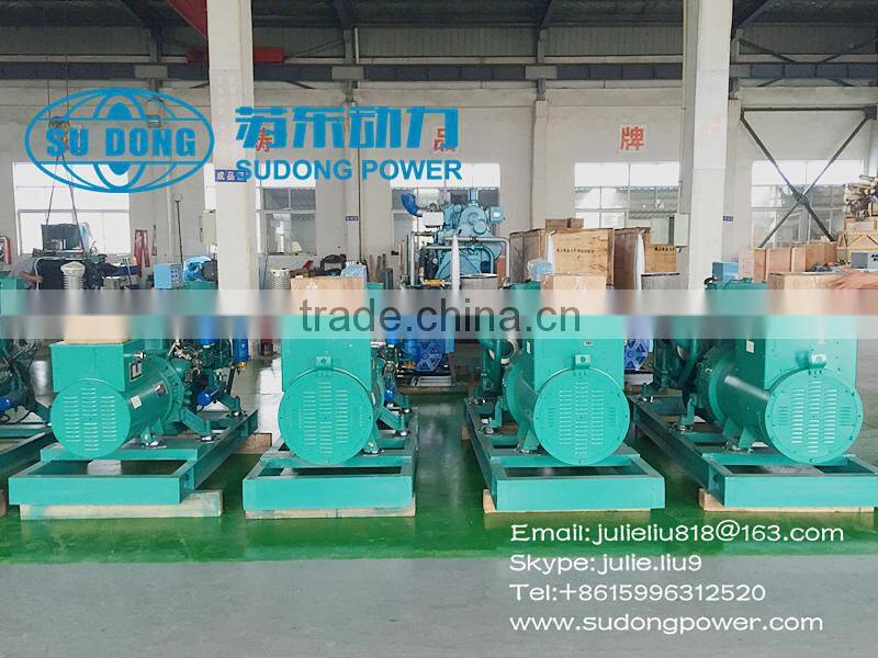 Small Marine generator 25KVA sold to Philippines-yuchai engines generator-China oem manufacturer-ZC marine diesel generator