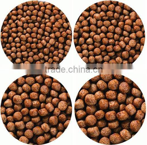 Aquarium fish feed production line