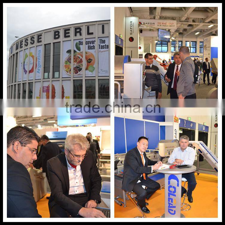 Automatic vegetable processing line/salad/IQF vegetable washing machine