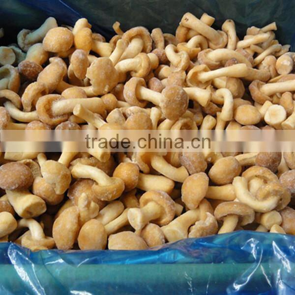 Price For Purchase Mameko Iqf 2015 Corp