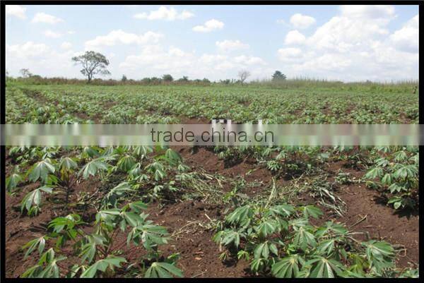 Cassava planter for plantation,farming cassava planting machine with combine function