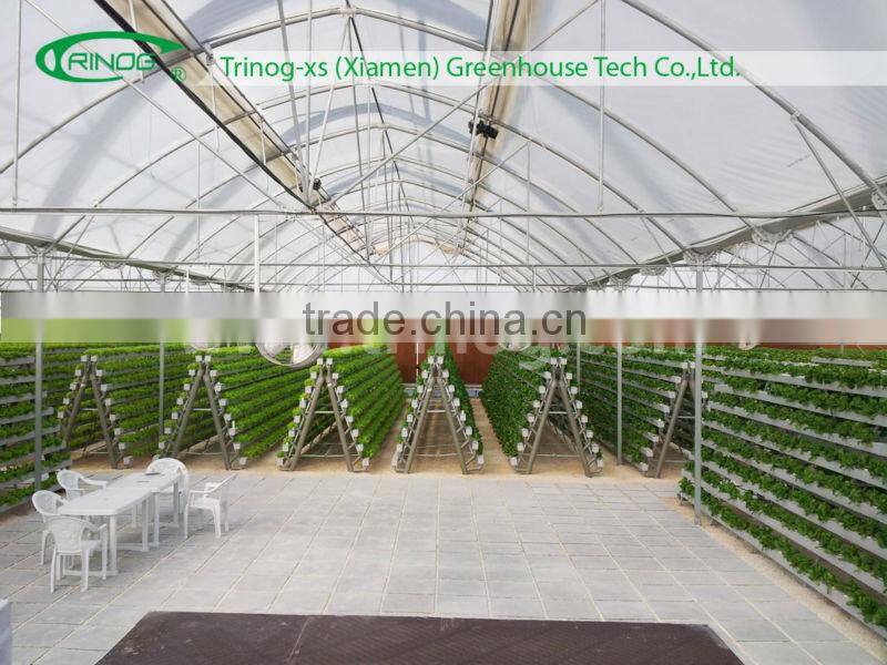 NFT hydroponics cultivation system for lettuce