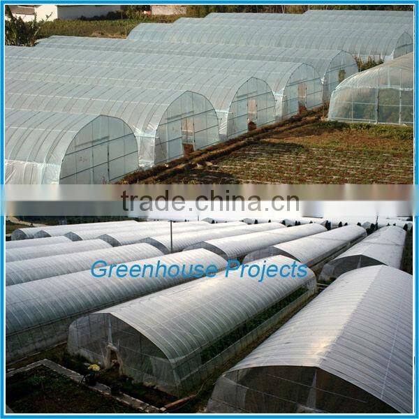 Professional solar high tunnel hot galvanized steel green houses for agriculture