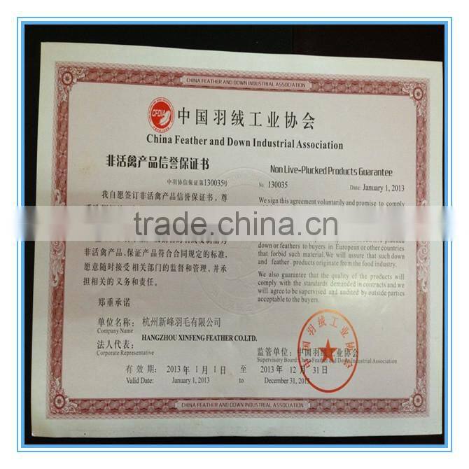 Chinese standard 50% white duck down