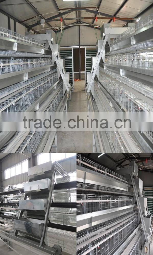 Automatic chicken layer cage in kenya