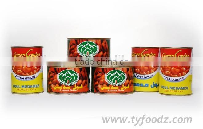 canned fava beans in brine 397g