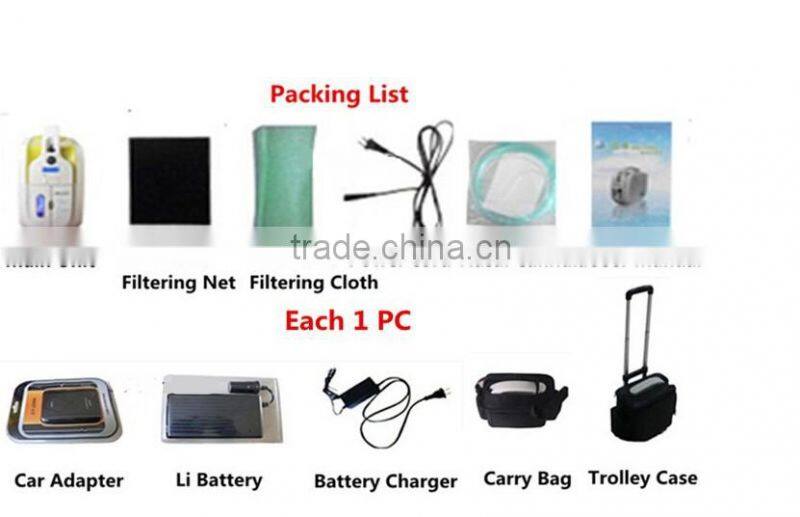 Small portable electric oxygen concentrator with battery
