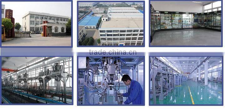 CF6-200A Automatic 6-station zipper bag packaging machine