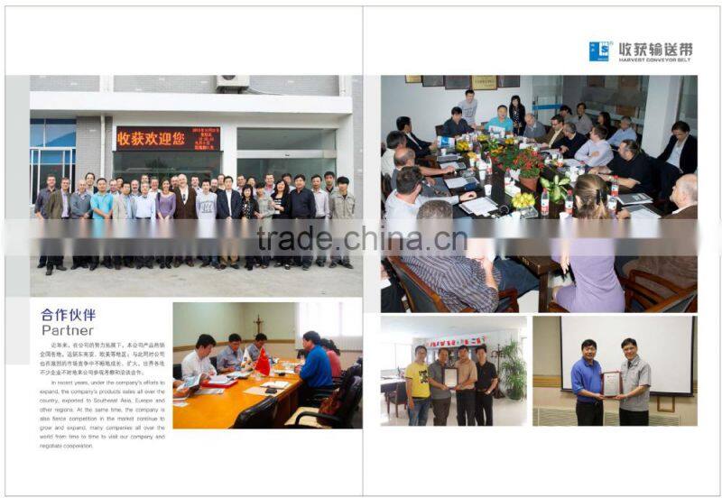 China Wholesale Custom Custom zhejiang used nylon conveyor belt