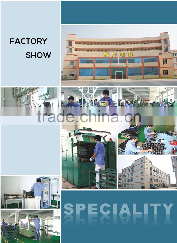 Commercial 180-500W Small Vacuum Cleaner Motor (ML-G)