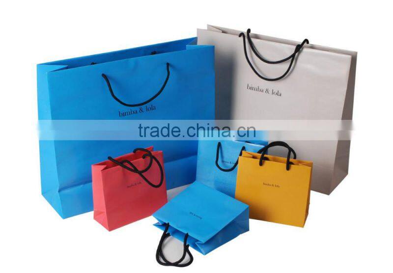 Luxury Paper Bag/Paper Gift Bag/Custom Shopping Paper Bag
