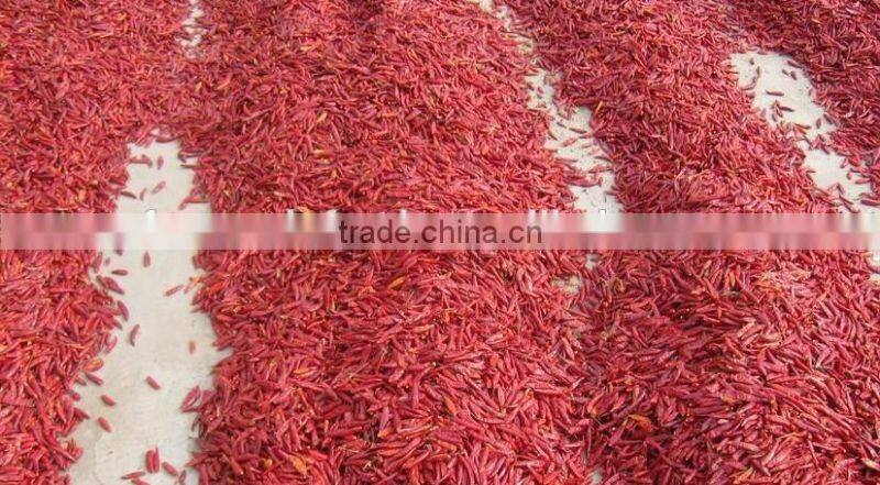chilli crushed