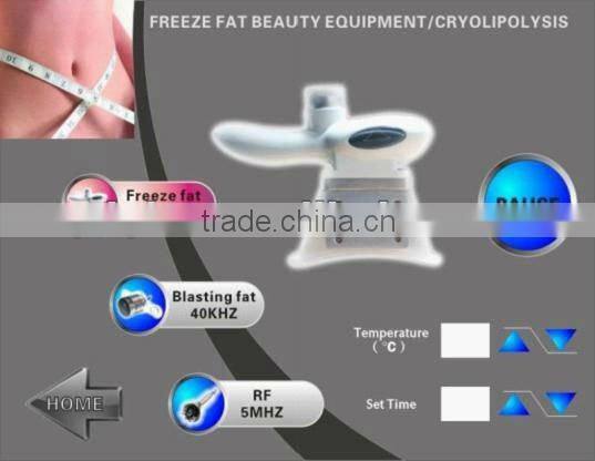 New arrival!!! Cryolipolysis fat reduction machine/cavitation body slimming machine