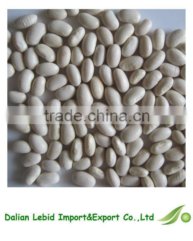Good Quality Dry Garden Japanese Beans For Sale 2016 Crop
