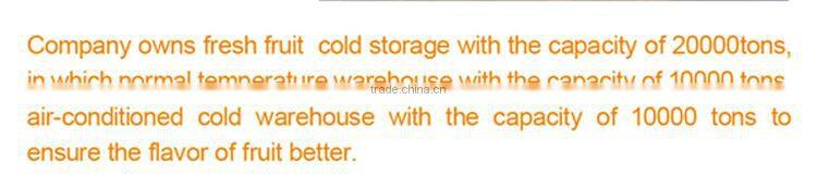 2016 Huaniu apple Fresh apple China Gansu Tianshui Huaniu apple