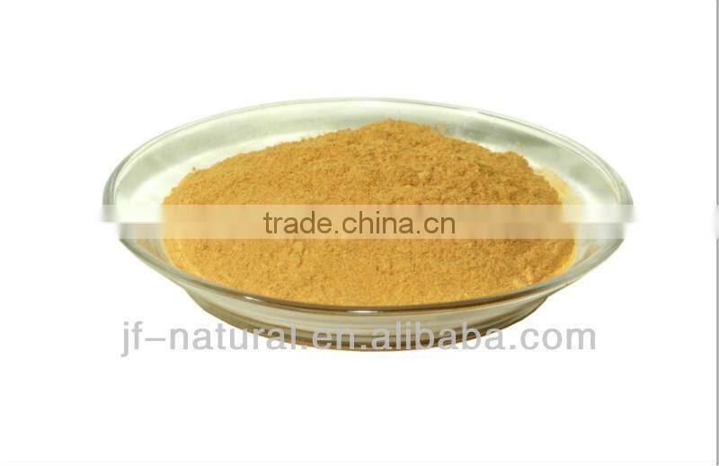 Ginkgo Leaf Extract high content flavone
