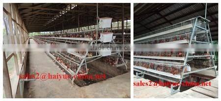 Africa Automatic Drinker Poultry Battery Cage With 96 120 160 Capacity