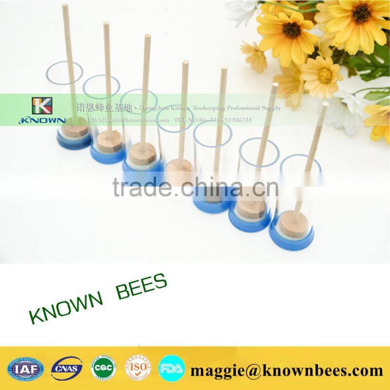 beekeeping tool marker to label queen with sponge