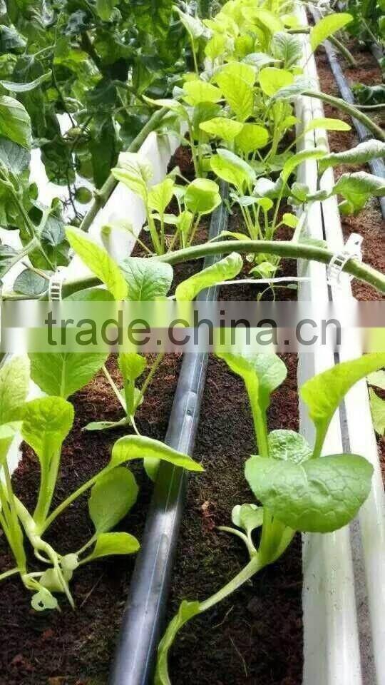 PVC strawberry gutter