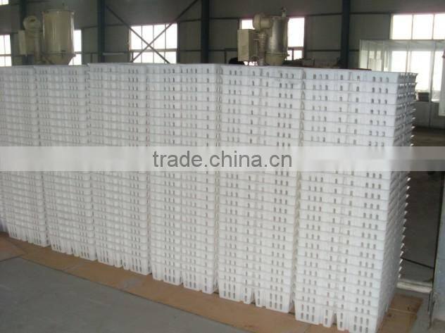 plastic chicken tranport stackable cage/box/crate for child chicken