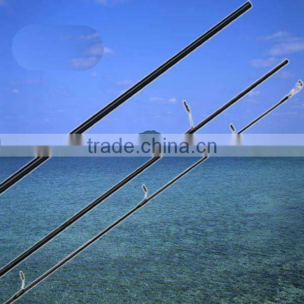 sea bass fishing rods