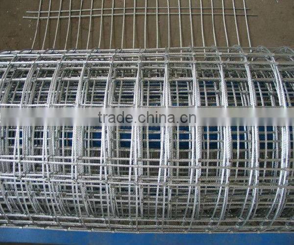 Welded Wire Mesh