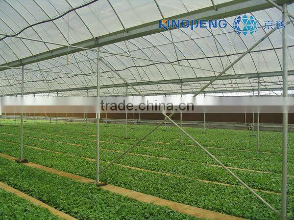 Multi Span Greenhouse