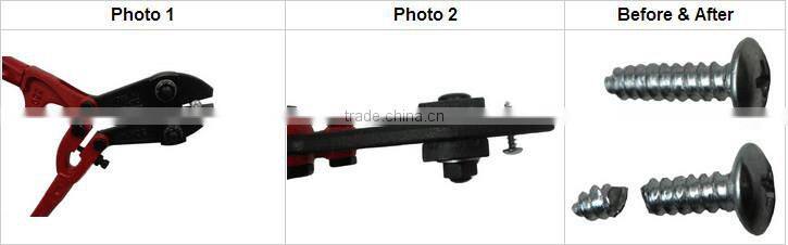 Bolt cutters with adjustable arm