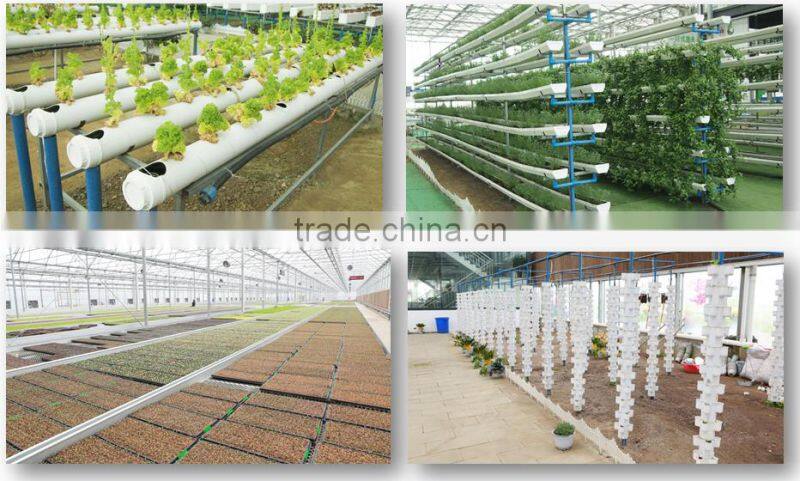 poly tunnel agriculture greenhouse China factory