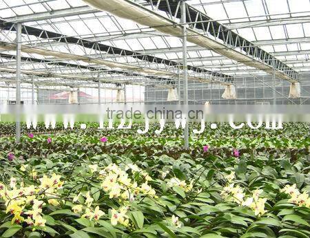 Multi-span greenhouse