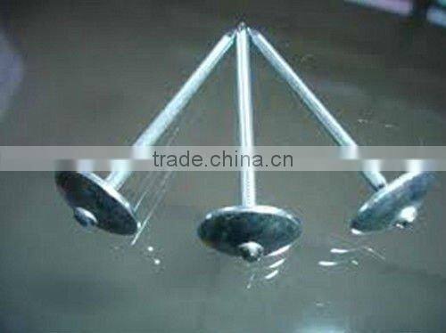 Shoe Tack Nails-Hebei China Supply Best Quality and Price