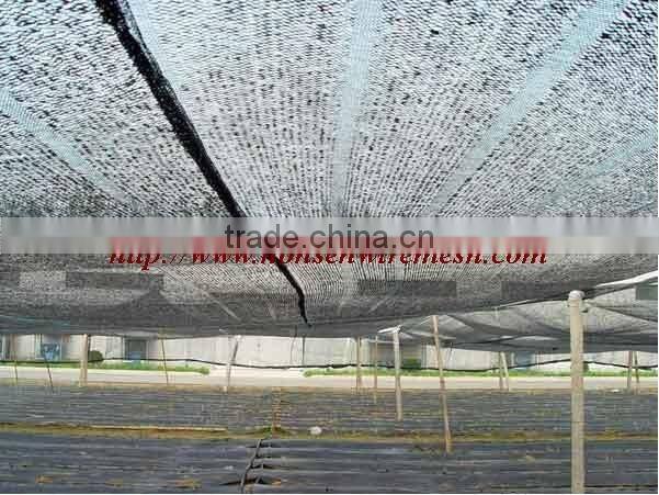 Sunshade net