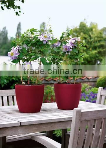 trough 1 gallon plastic pots