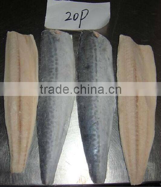 Frozen Spanish Mackerel Fillet