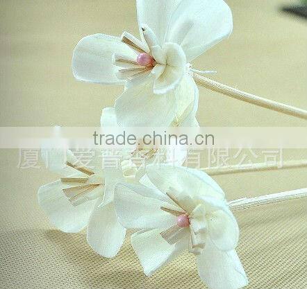 Natural Sola Flower Diffuser / Diffuser / Home decoration