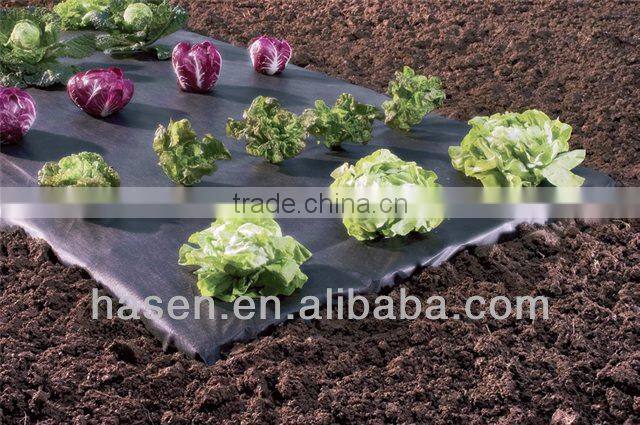 pp nonwoven fabric for weed control used in agriculture China manufacturers