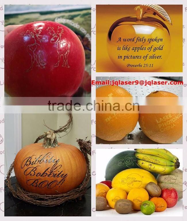 food and beverage service equipment Alibaba laser marking machine for south africa