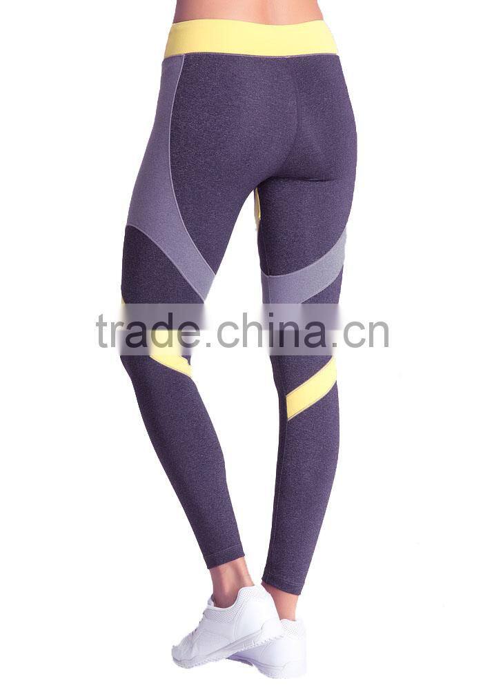 Top Quality Best Sexy Tight Gym Shark Yoga Pants Body Building Wear Legging
