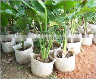 PP Non-woven Fabric,PP Spunbond Nonwoven,TNT Nonwoven Fabric