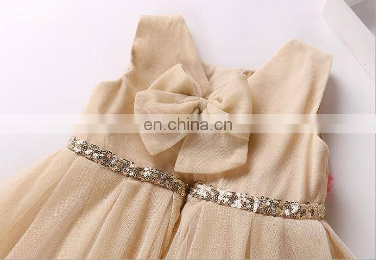 Champagne Flower Baby Girl Dress Sleeveless Petal Tulle Dress Princess Costume