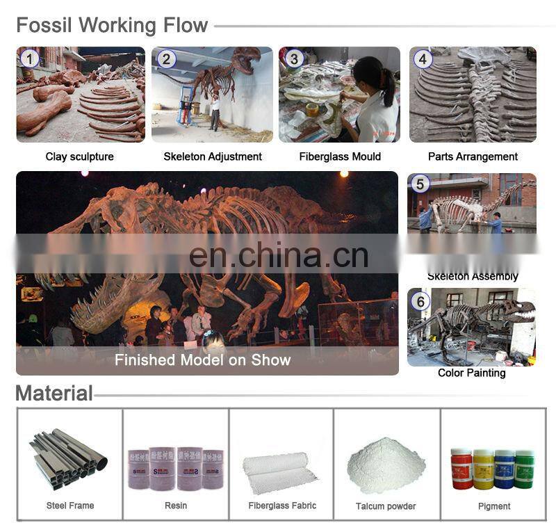 Amusement Theme Park Exhibition Dinosaur Fossil