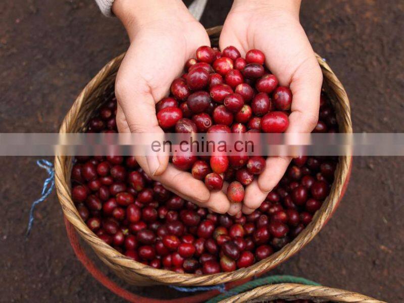 big sale Cocoa Beans Peeling Machine/Cocoa Beans Peeler/Coffee Bean Peeling Machine for sale