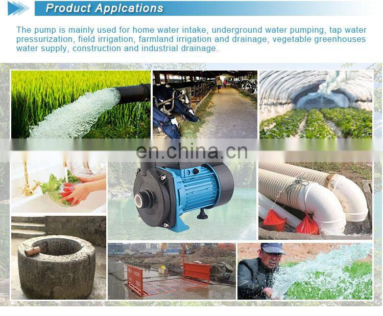 220V Plastic Head Electric Centrifugal Water Pumps