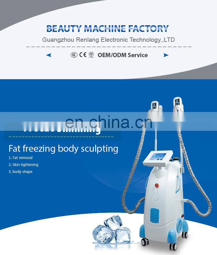2020 Fat freezing Slimming Vertical weight loss machine with 2 handles For Spa Use