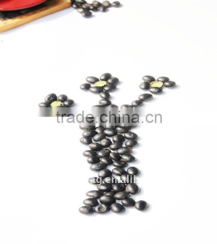 organic black beans with green kernel