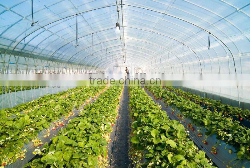 low cost greenhouse