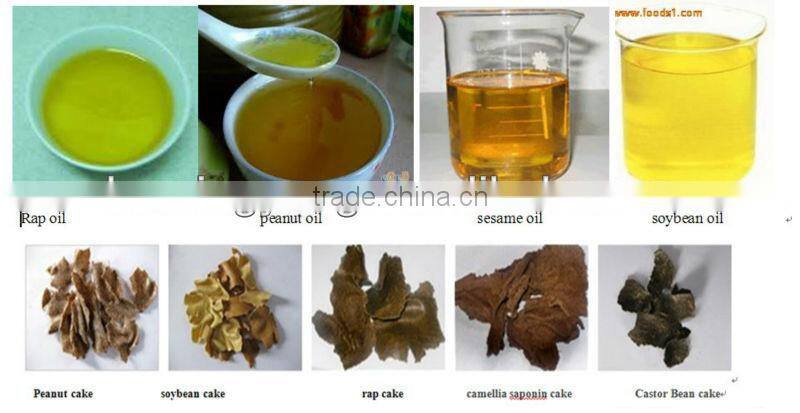 double screw almond oil press machine
